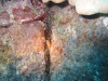 Underwater 21